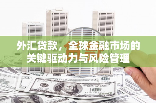 丹凤外汇贷款，全球金融市场的关键驱动力与风险管理