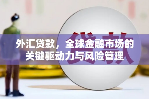 丹凤外汇贷款，全球金融市场的关键驱动力与风险管理