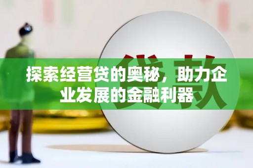 丹凤探索经营贷的奥秘，助力企业发展的金融利器