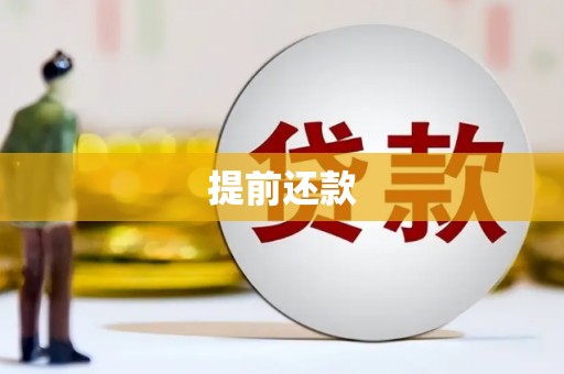 丹凤提前还款