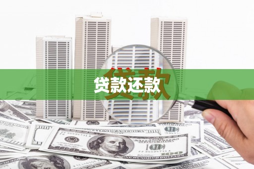 丹凤贷款还款
