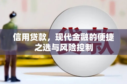 丹凤信用贷款，现代金融的便捷之选与风险控制