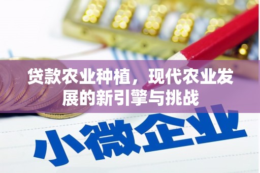 丹凤贷款农业种植，现代农业发展的新引擎与挑战