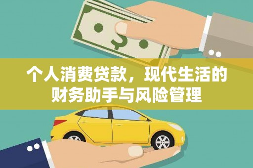丹凤个人消费贷款，现代生活的财务助手与风险管理