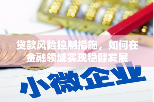 丹凤贷款风险控制措施，如何在金融领域实现稳健发展