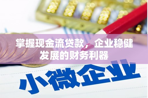 丹凤掌握现金流贷款，企业稳健发展的财务利器