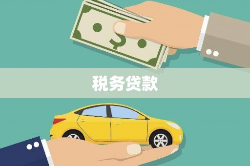 丹凤税务贷款