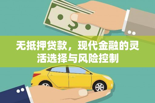 丹凤无抵押贷款，现代金融的灵活选择与风险控制
