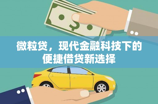 丹凤微粒贷，现代金融科技下的便捷借贷新选择