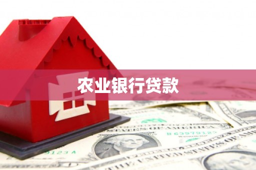 丹凤农业银行贷款