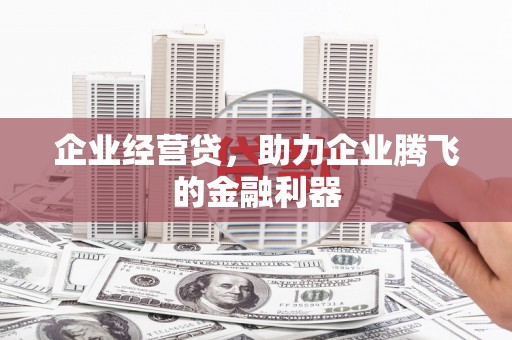 丹凤企业经营贷，助力企业腾飞的金融利器