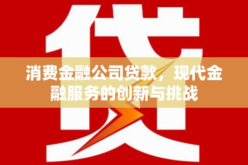丹凤消费金融公司贷款，现代金融服务的创新与挑战