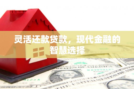 丹凤灵活还款贷款，现代金融的智慧选择