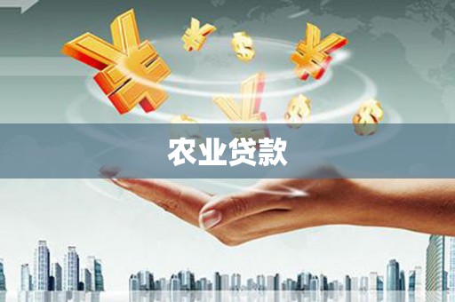 丹凤农业贷款