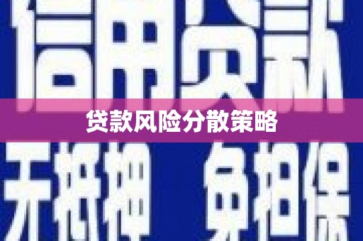 丹凤贷款风险分散策略