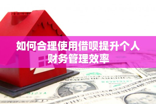 丹凤如何合理使用借呗提升个人财务管理效率