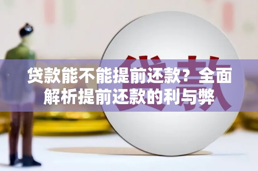 丹凤贷款能不能提前还款？全面解析提前还款的利与弊