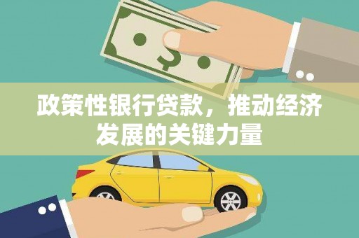 丹凤政策性银行贷款，推动经济发展的关键力量