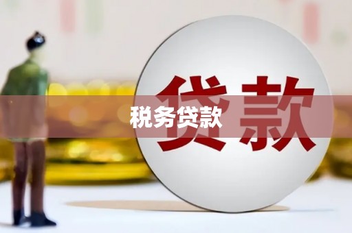 丹凤税务贷款