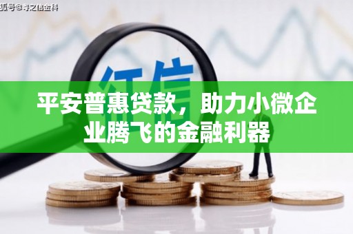 丹凤平安普惠贷款，助力小微企业腾飞的金融利器