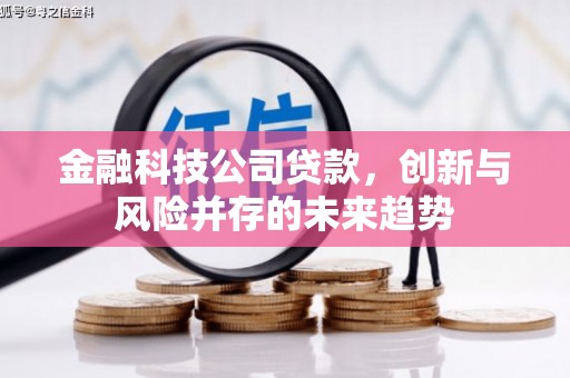 丹凤金融科技公司贷款，创新与风险并存的未来趋势