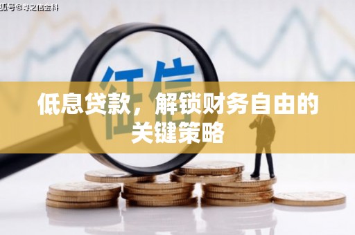 丹凤低息贷款，解锁财务自由的关键策略