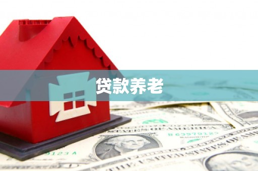 丹凤贷款养老
