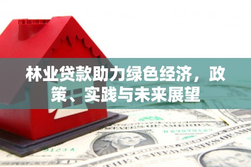 丹凤林业贷款助力绿色经济，政策、实践与未来展望