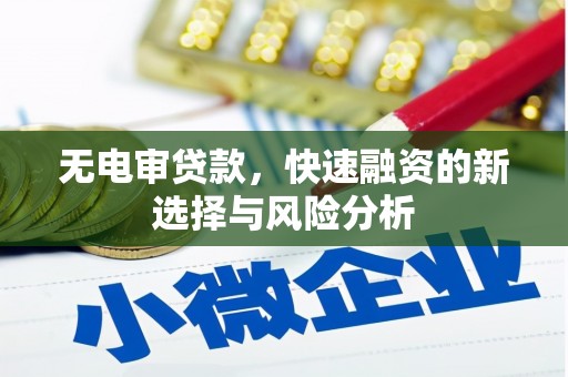 丹凤无电审贷款，快速融资的新选择与风险分析