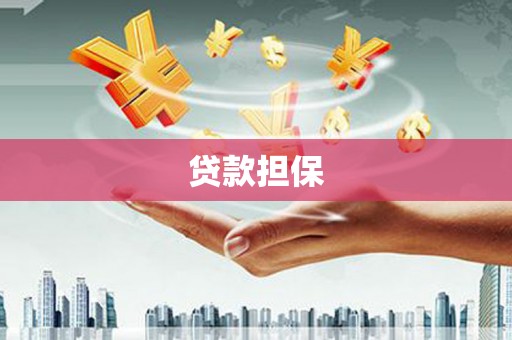 丹凤贷款担保