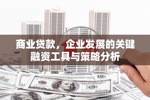 丹凤商业贷款，企业发展的关键融资工具与策略分析