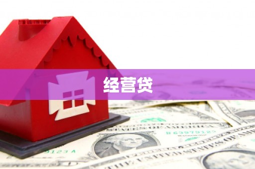 丹凤经营贷