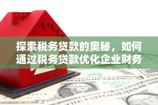 丹凤探索税务贷款的奥秘，如何通过税务贷款优化企业财务