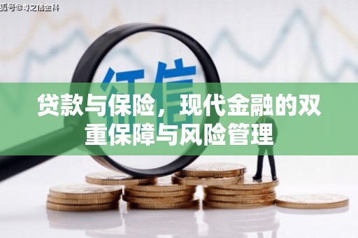 丹凤贷款与保险，现代金融的双重保障与风险管理