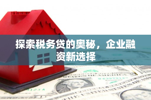 丹凤探索税务贷的奥秘，企业融资新选择