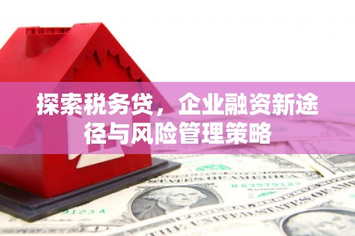 丹凤探索税务贷，企业融资新途径与风险管理策略
