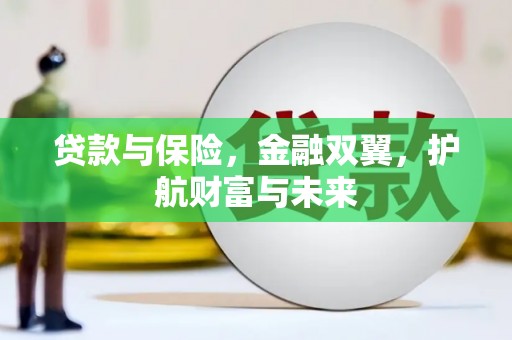 丹凤贷款与保险，金融双翼，护航财富与未来