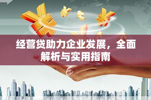 丹凤经营贷助力企业发展，全面解析与实用指南