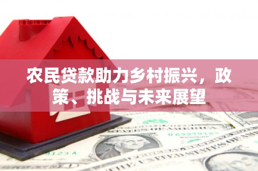 丹凤农民贷款助力乡村振兴，政策、挑战与未来展望