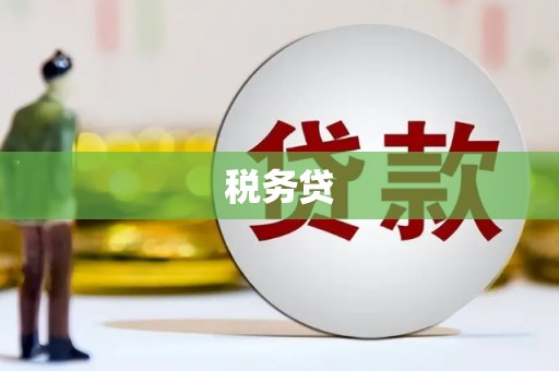 丹凤税务贷
