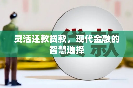 丹凤灵活还款贷款，现代金融的智慧选择