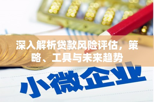 丹凤深入解析贷款风险评估，策略、工具与未来趋势