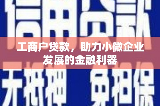 丹凤工商户贷款，助力小微企业发展的金融利器