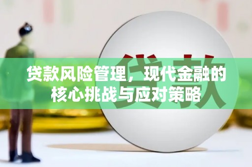 丹凤贷款风险管理，现代金融的核心挑战与应对策略
