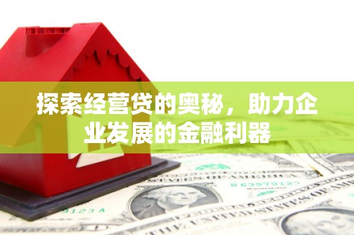 丹凤探索经营贷的奥秘，助力企业发展的金融利器