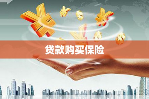 丹凤贷款购买保险