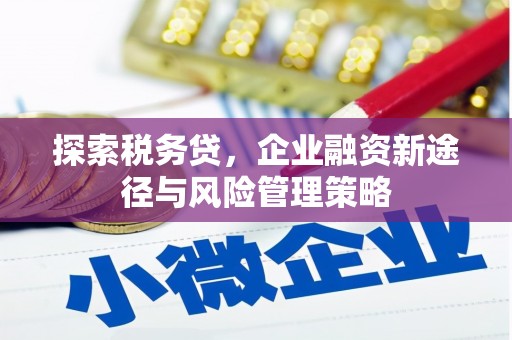 丹凤探索税务贷，企业融资新途径与风险管理策略