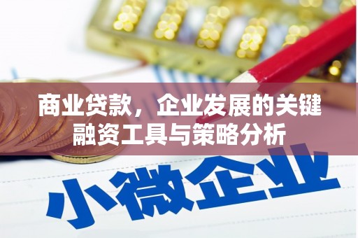 丹凤商业贷款，企业发展的关键融资工具与策略分析