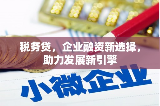 丹凤税务贷，企业融资新选择，助力发展新引擎
