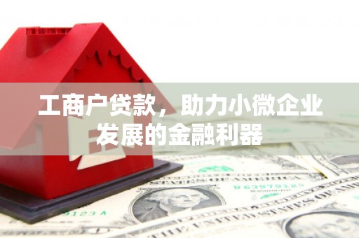 丹凤工商户贷款，助力小微企业发展的金融利器